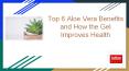 Top 6 Aloe Vera Benefits and How the Gel Improves Health (2) PowerPoint PPT Presentation