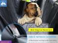 Best Dog Car Hammock PowerPoint PPT Presentation