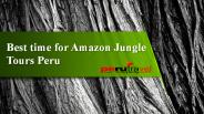 Best time for Amazon Jungle Tours Peru