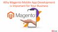 Why Magento Mobile App Development is Important for Your Business PowerPoint PPT Presentation