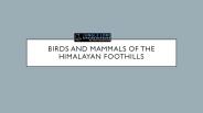 northern india birding tours