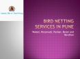 Bird netting services in Pune PowerPoint PPT Presentation