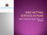 Bird netting services in Pune