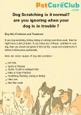 Dog Scratching is it normal? are you ignoring when your dog is in trouble ? PowerPoint PPT Presentation