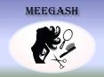 Meegash unisex salon and beauty parlor PowerPoint PPT Presentation