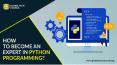 How to Become An Expert In Python Programming? PowerPoint PPT Presentation