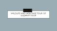 Wildlife And Heritage Tour Of Gujarat Tour PowerPoint PPT Presentation