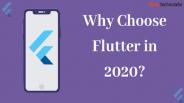 Why Choose Flutter in 2020? PowerPoint PPT Presentation