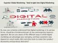 Superior Global Marketing - Total Insight Into Digital Marketing PowerPoint PPT Presentation