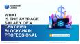 What is the average salary of a certified Blockchain professional? PowerPoint PPT Presentation