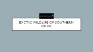 EXOTIC WILDLIFE OF SOUTHERN INDIA (1)
