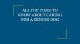ALL YOU NEED TO KNOW ABOUT CARING FOR A SENIOR DOG PowerPoint PPT Presentation