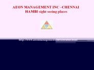aeon management Inc Velachery 163