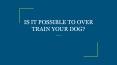 IS IT POSSIBLE TO OVER TRAIN YOUR DOG? PowerPoint PPT Presentation