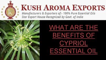 Benefits of Cypriol Essential Oil