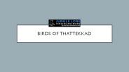birding western india