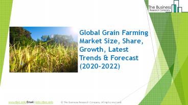 Global Grain Farming Market Report 2020