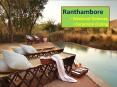 Find Resorts for Weekend Getaway in Ranthambore –Book at 8130781111 PowerPoint PPT Presentation