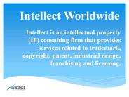 Business Licenses In Malaysia | Intellect Worldwide