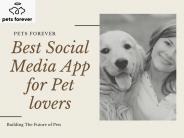 petsforever