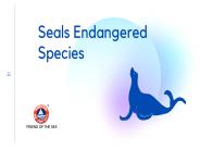 Seals Endangerd Species - Marine Conservation