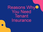 Reasons Why You Need Tenant Insurance