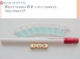 What makes IVF a successful treatment? PowerPoint PPT Presentation