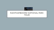 Ranthambore National park