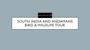 South India and Andamans Bird & Wildlife Tour