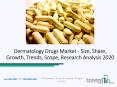 Dermatology Drugs Market Global Industry Analysis, Trends And Forecast 2022 PowerPoint PPT Presentation