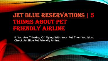 Complete Jet Blue Reservations Guide for Pet Travelling