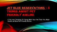 Complete Jet Blue Reservations Guide for Pet Travelling