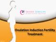 Ovulation Induction Fertility Treatment In Hyderabad - Sridevi Fertility PowerPoint PPT Presentation
