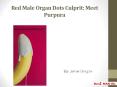 Red Male Organ Dots Culprit: Meet Purpura PowerPoint PPT Presentation