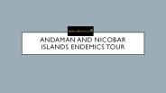 Andaman And Nicobar Islands Endemics Tour