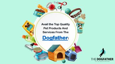 Avail the Top Quality Pet Products And Services From The Dogfather!