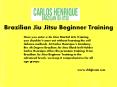 Chbjjteam.com - Brazilian Jiu Jitsu Beginner Training PowerPoint PPT Presentation
