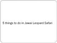 Jawai Leopard Safari Packages