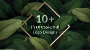 10+ Professional Logo Designs