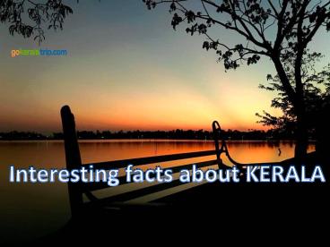 kerala tour packages