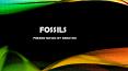 Fossils PowerPoint PPT Presentation