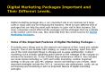 Digital Marketing Packages Important and Their Different Levels PowerPoint PPT Presentation