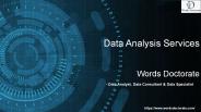 data analysis services