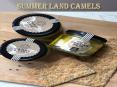 Summer Land Camels | Shop | Tours & Rides | Camel Milk Produce PowerPoint PPT Presentation