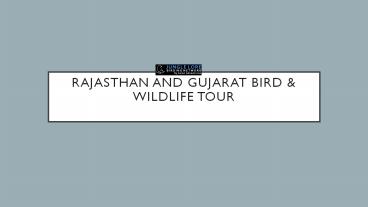 Rajasthan and gujarat bird and wildlife tours