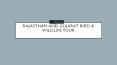 Rajasthan and gujarat bird and wildlife tours PowerPoint PPT Presentation