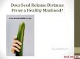 Does Seed Release Distance Prove a Healthy Manhood? PowerPoint PPT Presentation