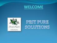 Pest Control Dublin | Meath | Wicklow | Lucan | Kildare