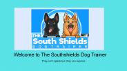 Dog Trainer in Washington
