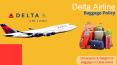 Delta Airline Baggage Policy wth Size and Dimension PowerPoint PPT Presentation